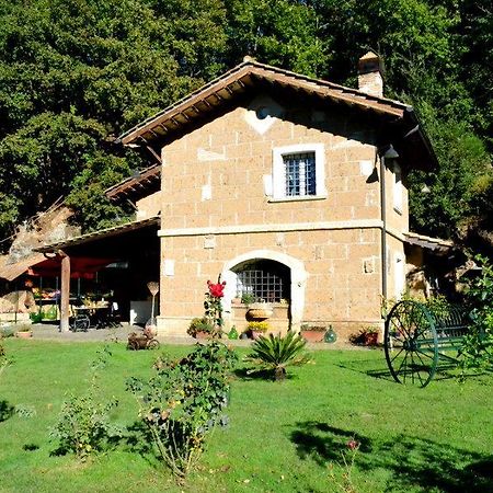 Agriturismo La Sorgente Di Nepi Hotel Exterior foto